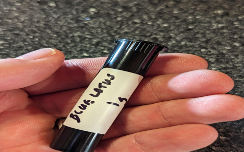 Is the blue lotus cart worth it？ Read real user reviews!