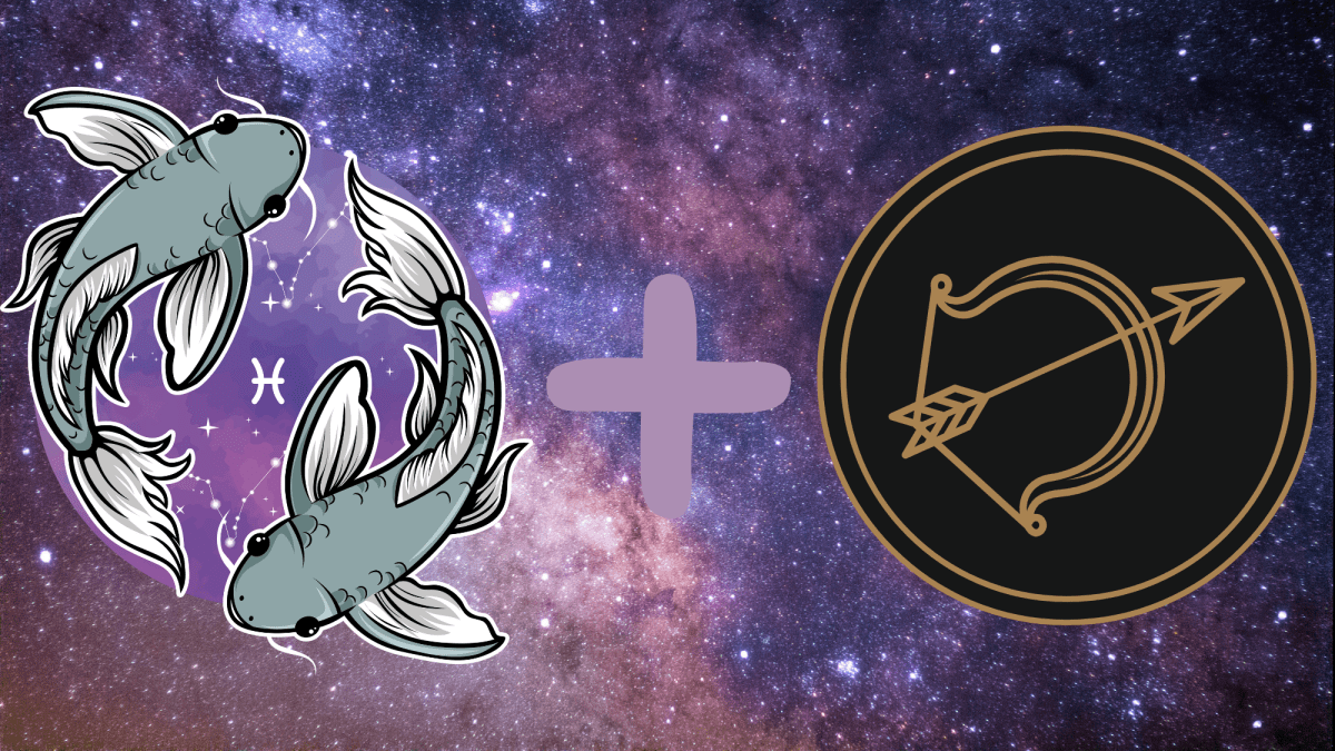 Do Sagittarius and Pisces get along in a relationship long term? An expert reveals their fate!