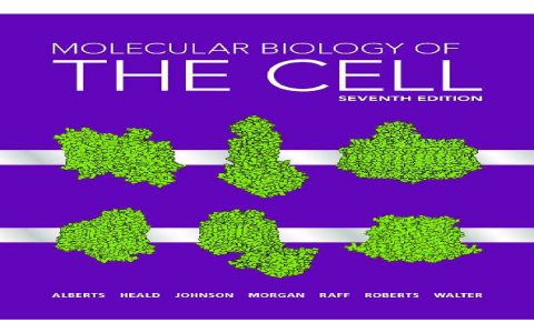 Decoding the mystery： What does the specific number 47.4 6 represent exactly？ (Find out the key insight here)