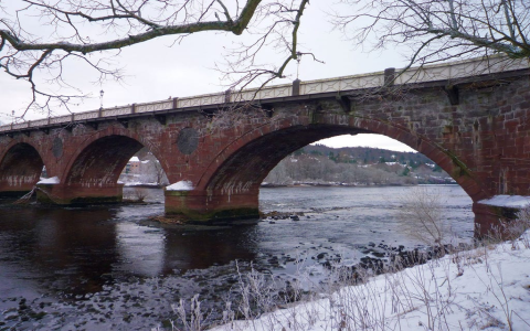 How to understand pisces aries cusp traits？ Here are some key points!