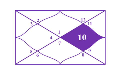 What are the career challenges for Pisces in 11th house？ Solve them!