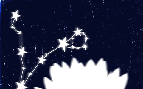 Can pisces love horoscope elle predict your love？ Heres the answer!