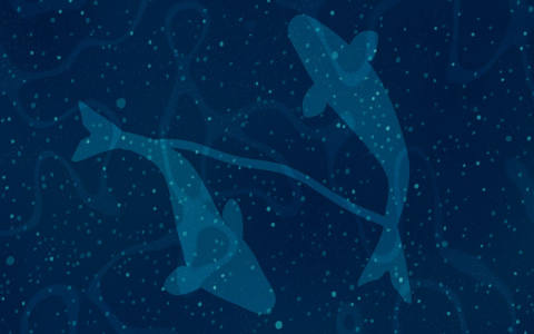 Your Pisces birth months： See if youre a Pisces.