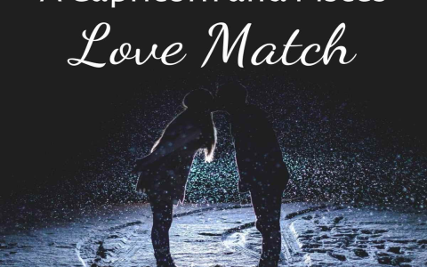 Understanding Capricorn Male Pisces Female Love Compatibility： What You Need to Know.