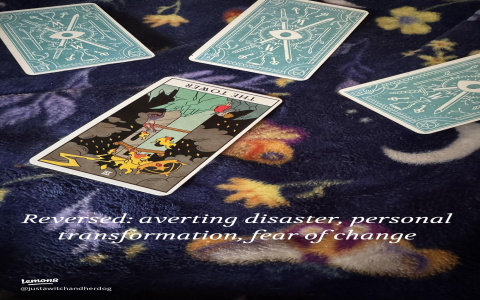 How to Handle The Message of Tarot The World Reversed？ 5 Steps to Final Completion.