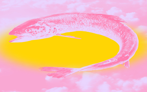 Career Horoscope Pisces July 2015 Review (Were the Forecasts Right？)