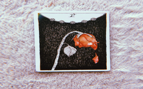 Practical Tips to Align Your Energy With Tarot Birth Card 6 (Maximize Your Potential for Growth)