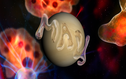 Pisces Daily Horoscope May 10 2025 (Whats Ahead？)