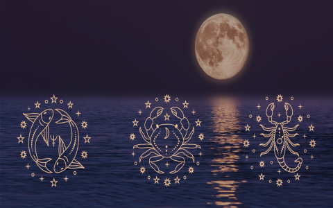 Your Dreamy Pisces Moon Career Forecast is Here! (See The Top Creative and Healing Professions For You!)