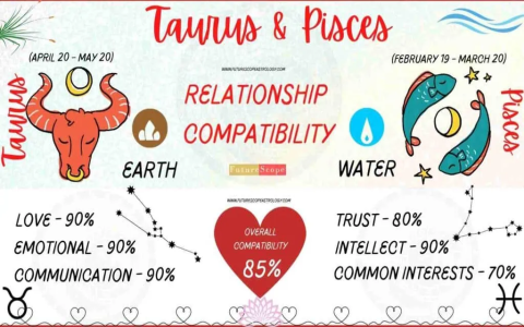 Can Aries Taurus Cusp Compatibility With Pisces Lead to Marriage？ Check the Success Odds!