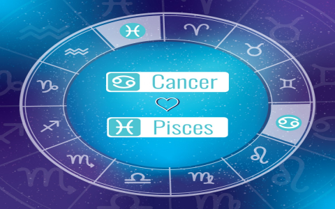 Will Cancer and Pisces Compatibility 2024 Last？ See the Shocking Truth About Their Future!