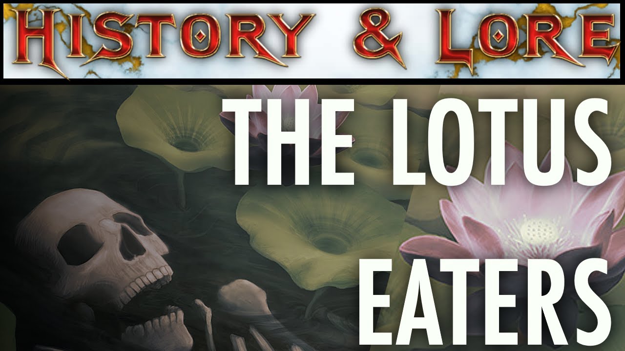 Amazing Facts About the Lovers Lotus You Didnt Know! History and Legend Explained!