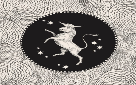 How Do You Know Taurus Woman Pisces Man Love at First Sight is True？ Check These 5 Signs!