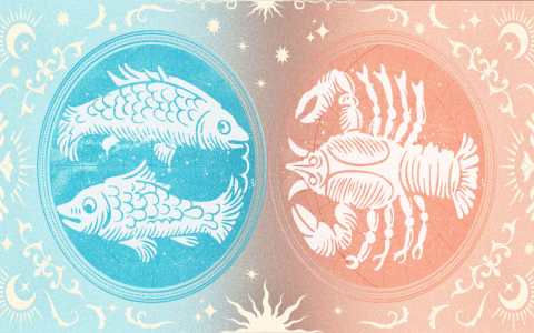 The ultimate guide to the pisces woman pisces man relationship： Compatibility scores and dating tips!