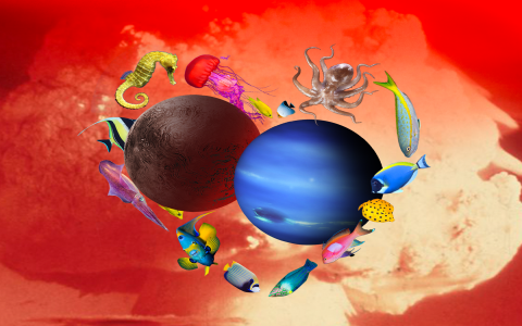 aries man and pisces woman relationship problems？ 5 tips to fix conflict now!