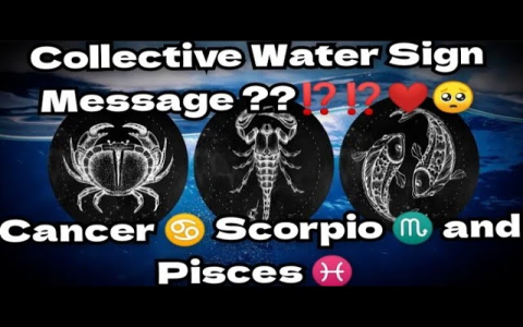 http www.yourweeklyhoroscope.com website type week&sign pisces&code 3706 Code Explained： See What It Means!