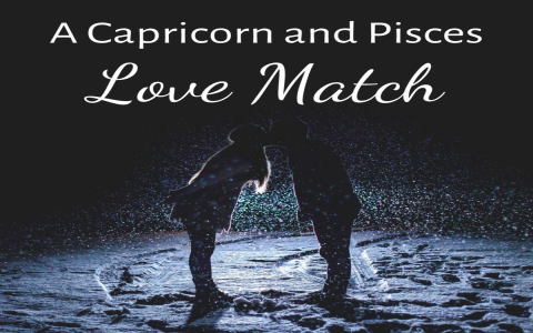 Capricorn Venus and Pisces Venus compatibility： Relationship challenges.