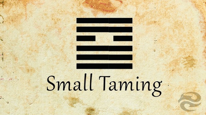 How to apply hexagram 9? (Use small taming daily)