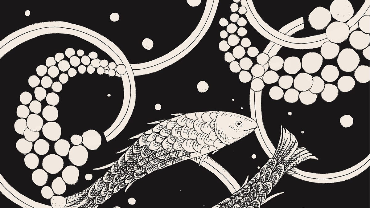 Is This the Best horoscope elle pisces weekly Reading？ (See What Experts Say)