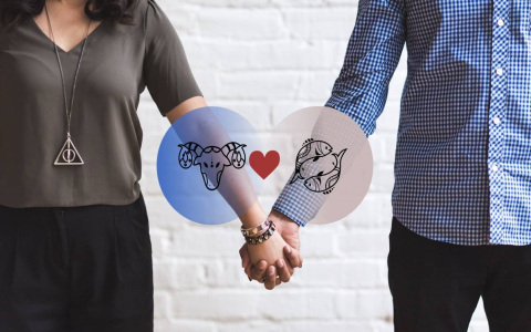 Aries Pisces compatibility： Good match？