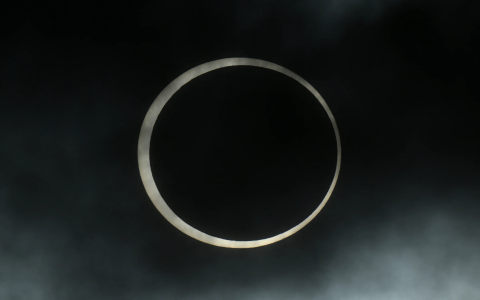 Your April 8 Pisces (Money and Career Tips)