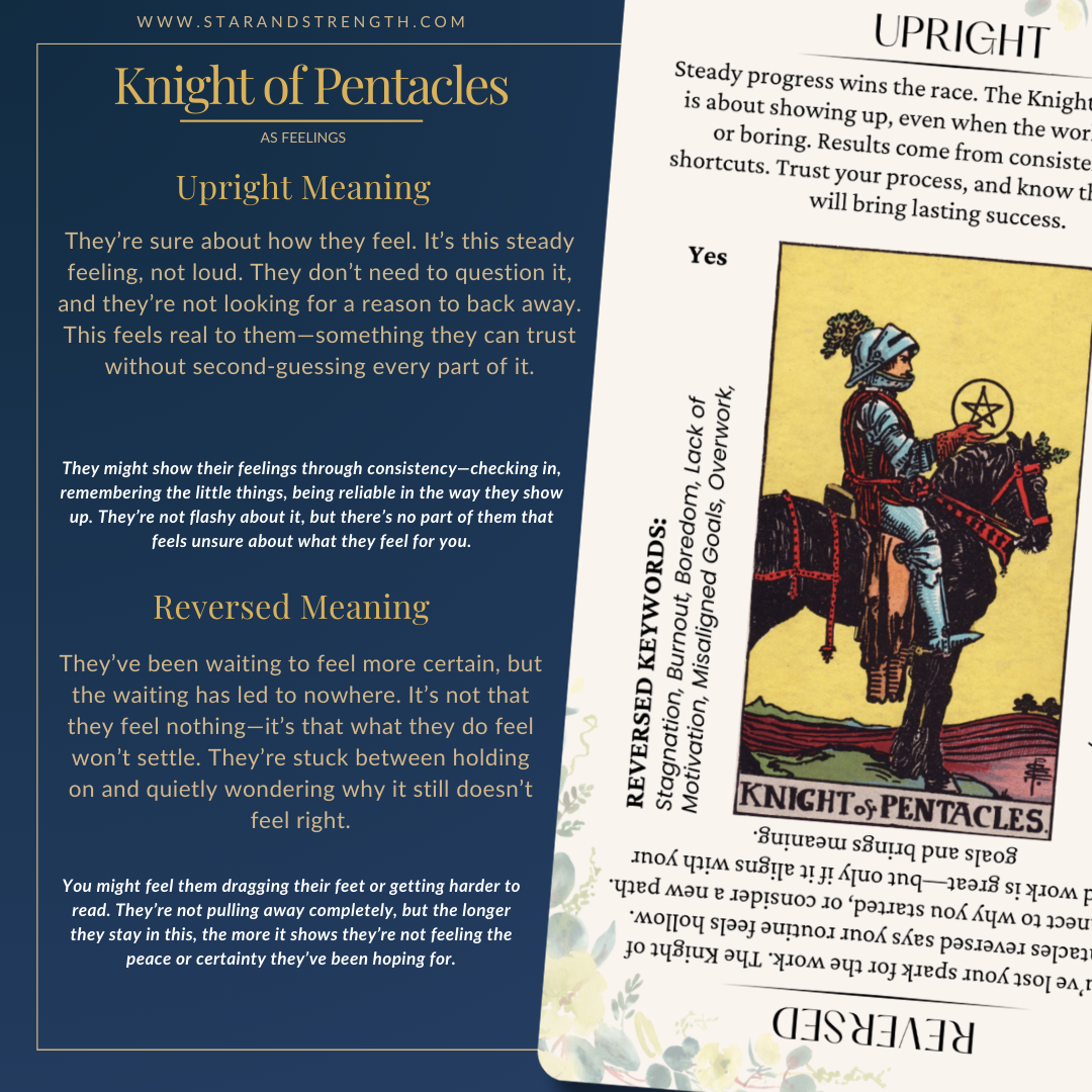 Why Are Knight Pentacles Feelings So Slow？ (Understanding His Stable But Steady Energy)