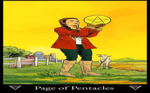 Page of Pentacles Rider Waite upright： See insights.