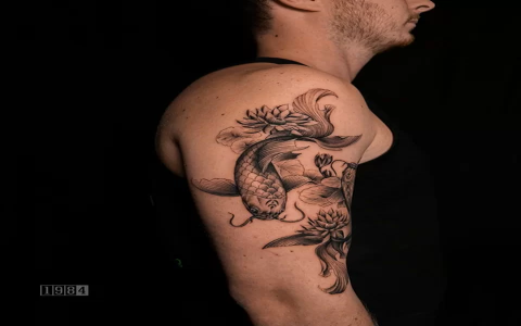 Amazing Facts About the Lovers Lotus You Didnt Know! History and Legend Explained!