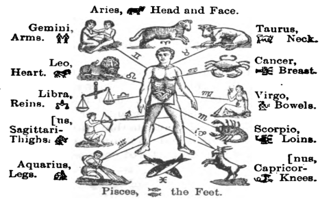 What month does Pisces fall on in the zodiac？ (Learn the meaning behind the water sign)