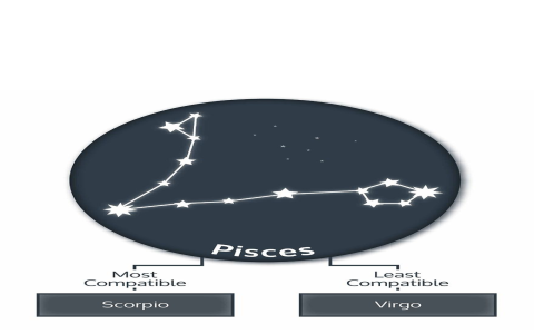 How are Pisces personality compatible with other signs？ (Find their perfect match!)