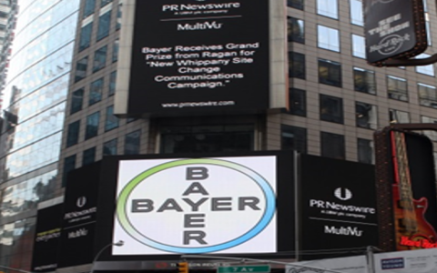 Master online clarity (Simple steps now)