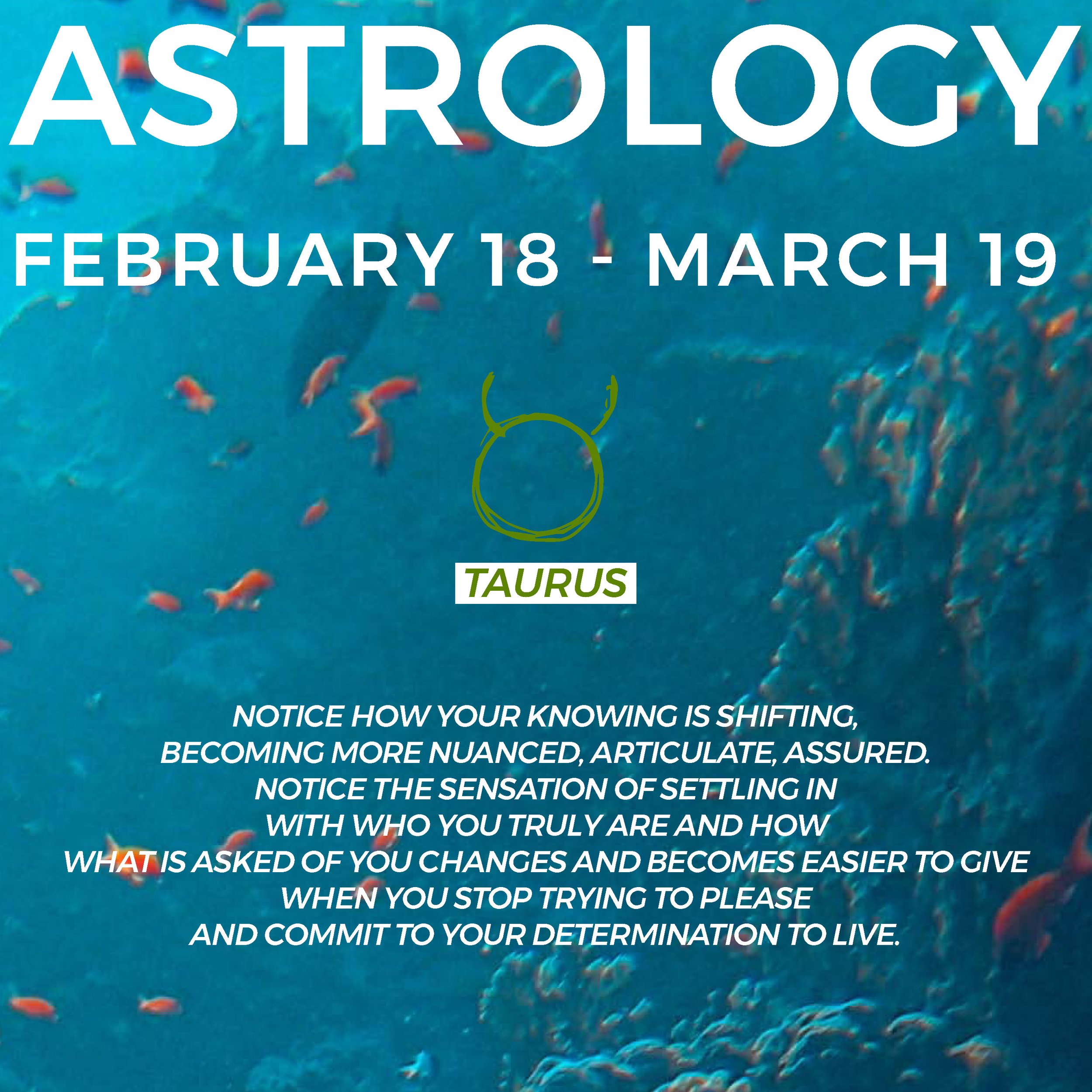 Pisces Horoscope Feb 18 2019： Whats Ahead？