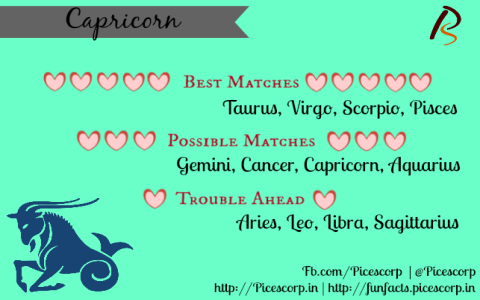 Pisces and Capricorn (Match potential？)