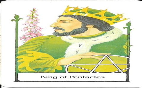 King Pentacles outcome (career).