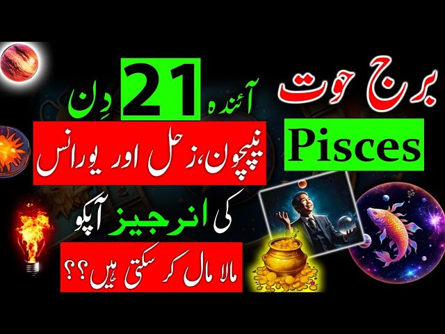 Your Pisces 2017 Career in Urdu： Get ready for success!