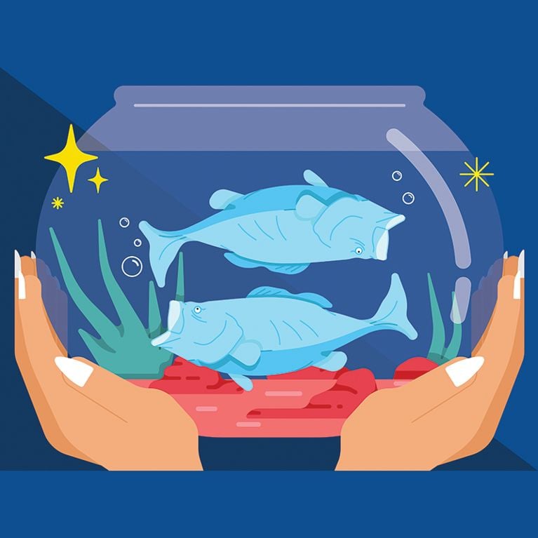 Pisces horoscope next week 2017! Whats up？